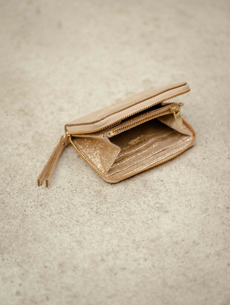 Petite Maroquinerie : Mabillon - Iridescent Champagne