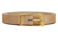 Iridescent Champagne