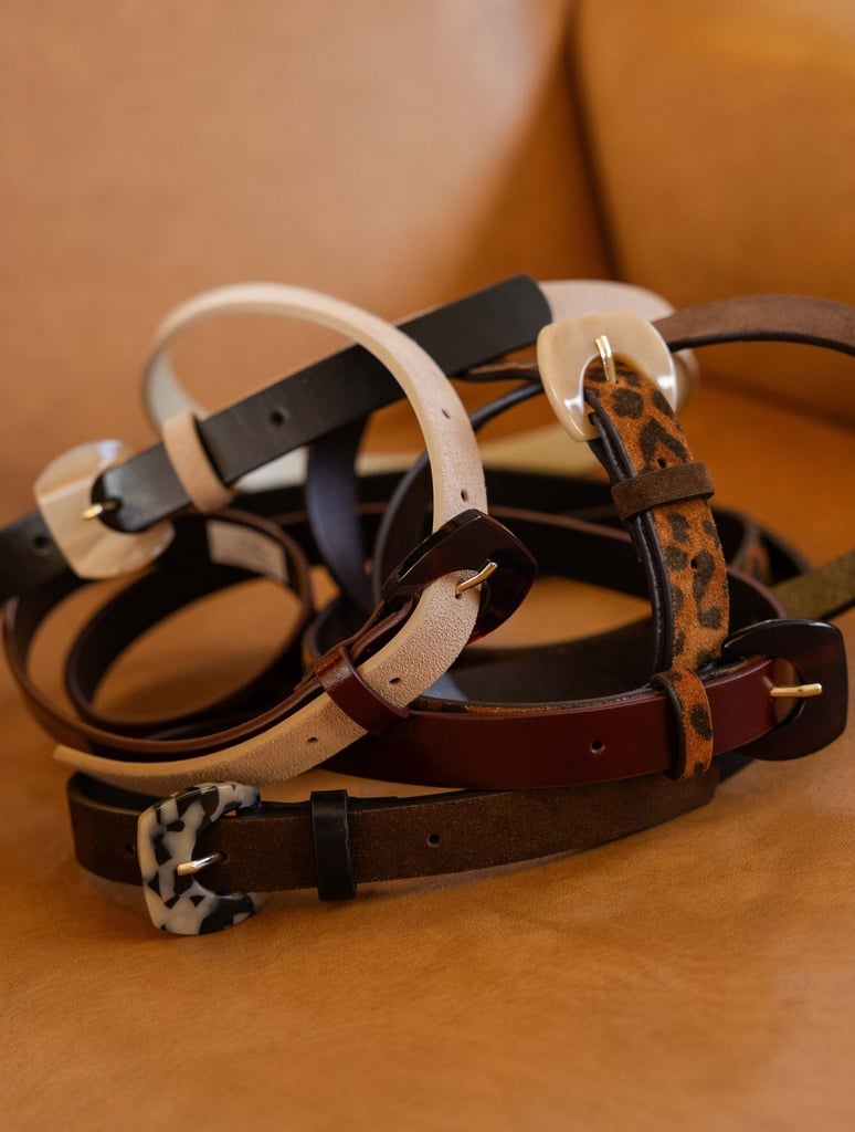 Ceintures : Mogliano - Wild Leo