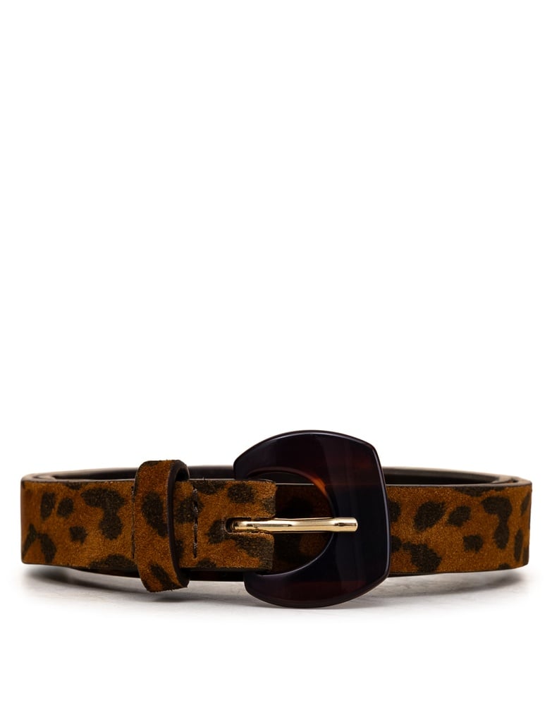 Ceintures : Mogliano - Wild Leo