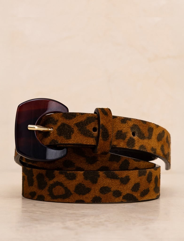 Ceintures : Mogliano - Wild Leo