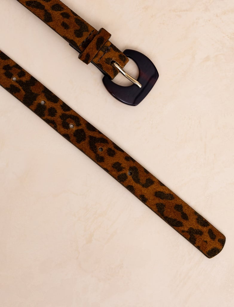 Ceintures : Mogliano - Wild Leo