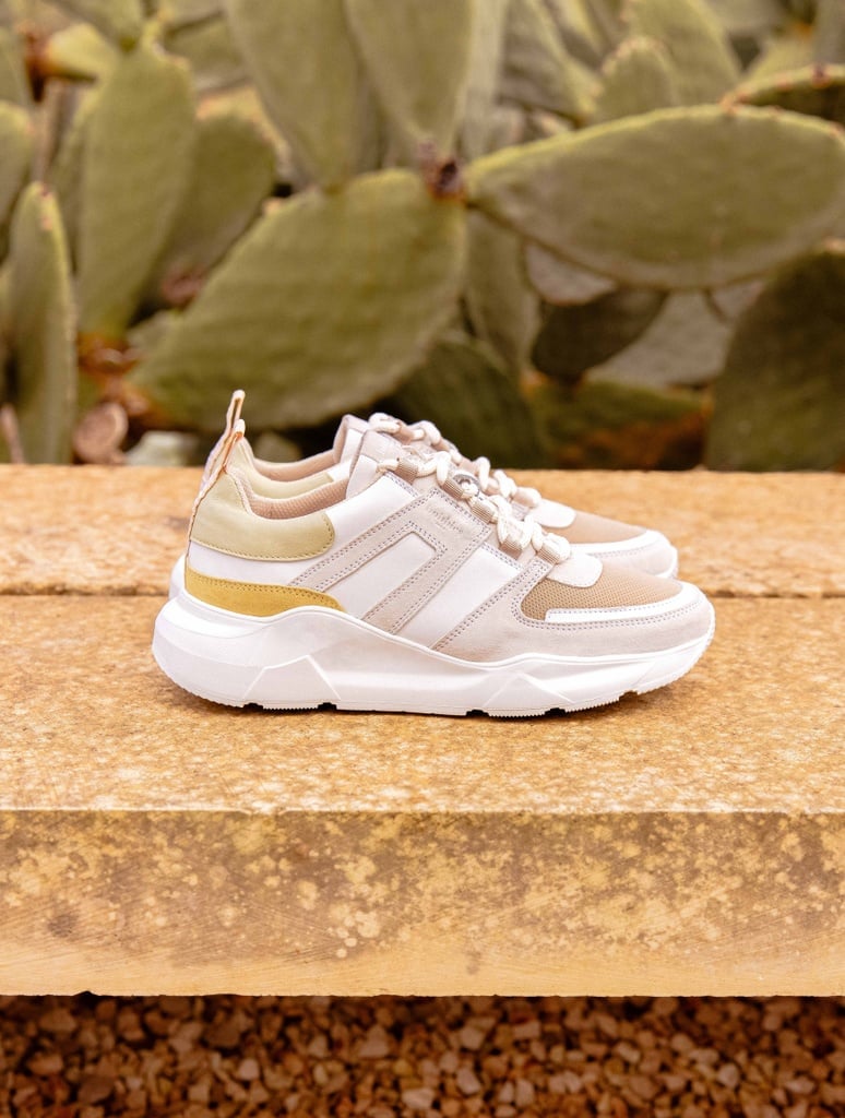 Zapatillas : Byron - Soft Dune