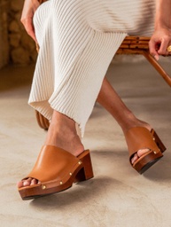 Summer Camel