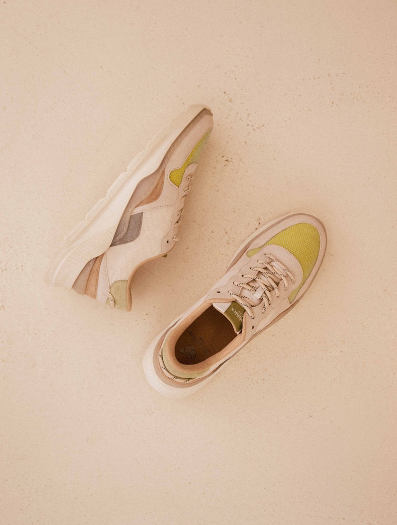 Sneakers : Carter - Caipi