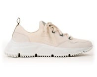 Crudo & Verde Grisáceo