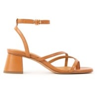 Sommer Camel