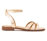 Iridescent Champagne