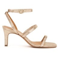 Iridescent Champagne