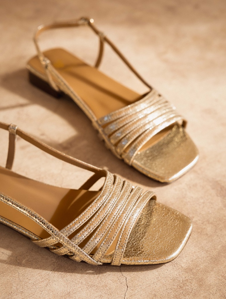 Flat Sandals : Diana - Champagne Gold