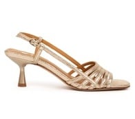 Iridescent Champagne