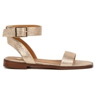 Iridescent Champagne