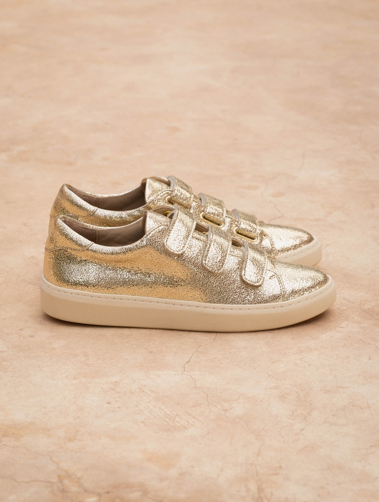 Baskets : Willow - Champagne Gold