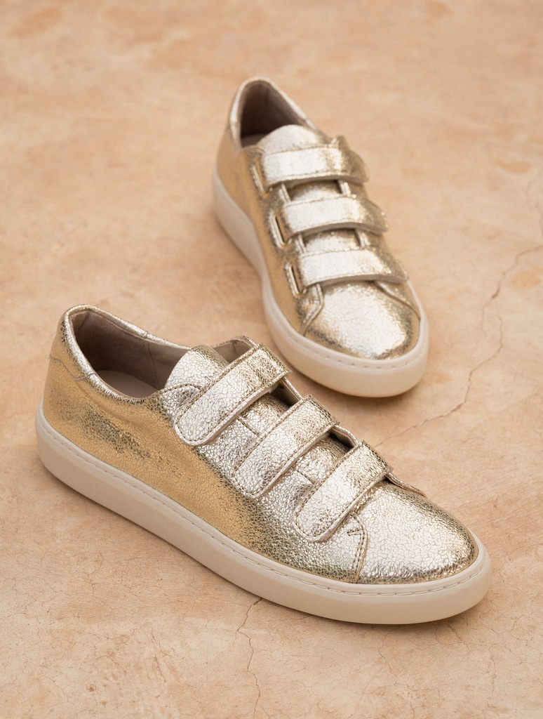 Baskets : Willow - Champagne Gold