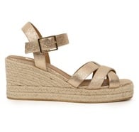 Iridescent Champagne