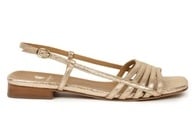 Iridescent Champagne