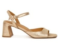 Iridescent Champagne