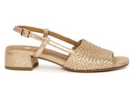 Iridescent Champagne