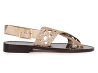 Iridescent Champagne