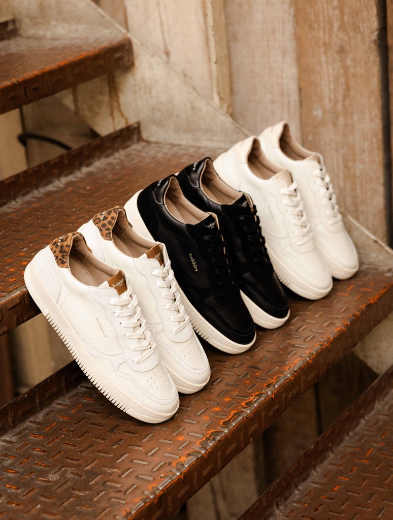 Zapatillas : Scott - Deep Black